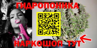стаф Нарткала